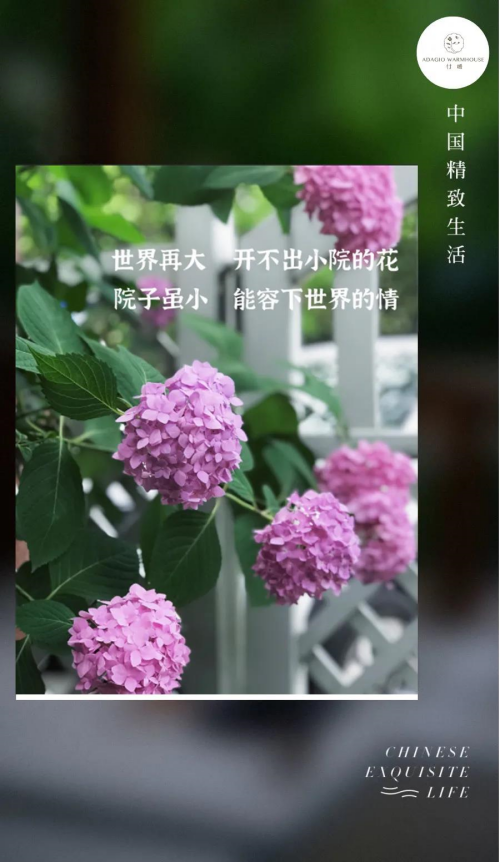 微信圖片_20211118140759.png